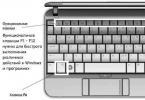 Как включить клавишу Fn на ноутбуке Самсунг Драйвера на клавишу fn ноутбуке